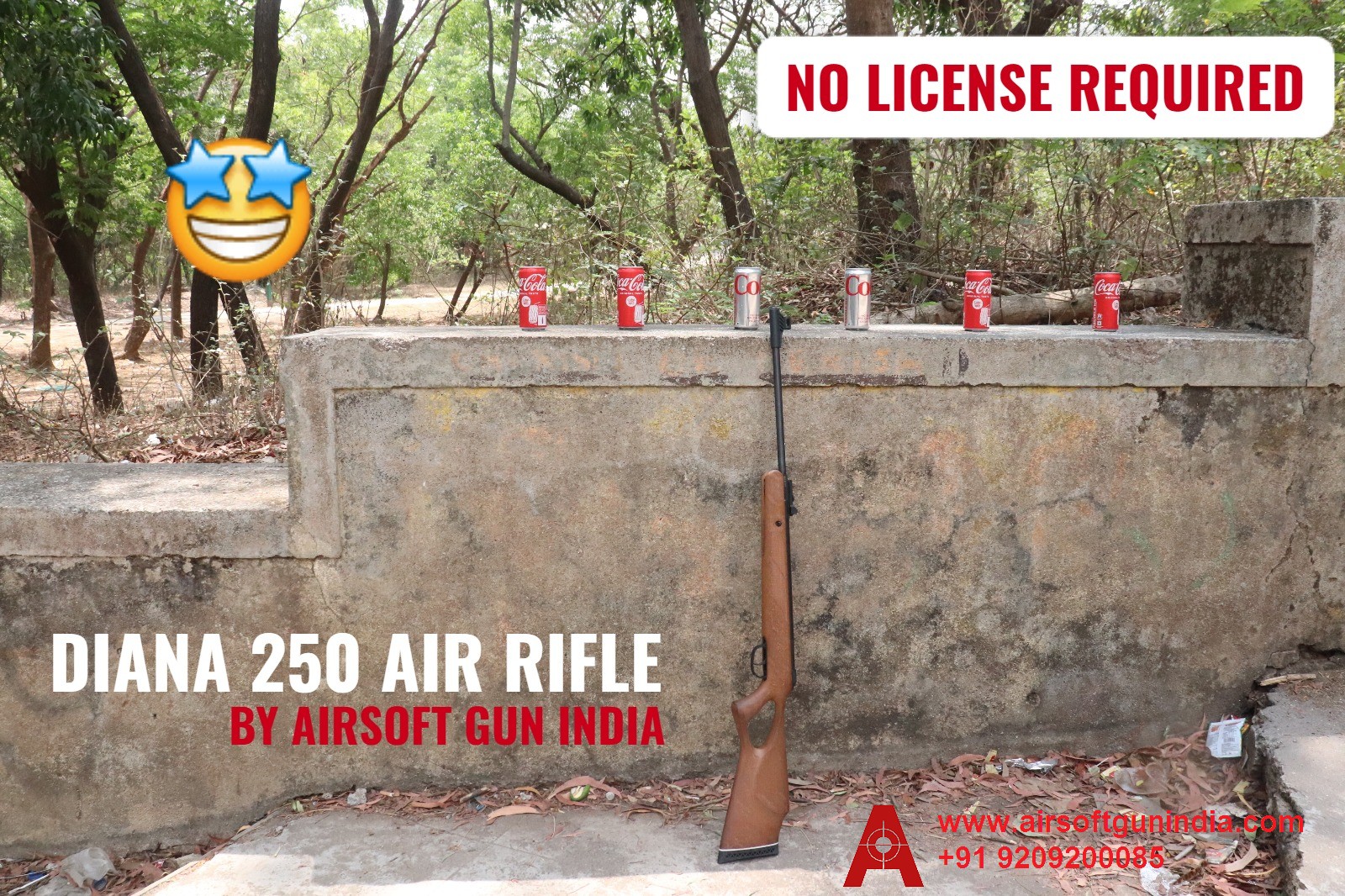 Unleash Your Inner Sharpshooter with the Diana 250 .177 Cal Powerful